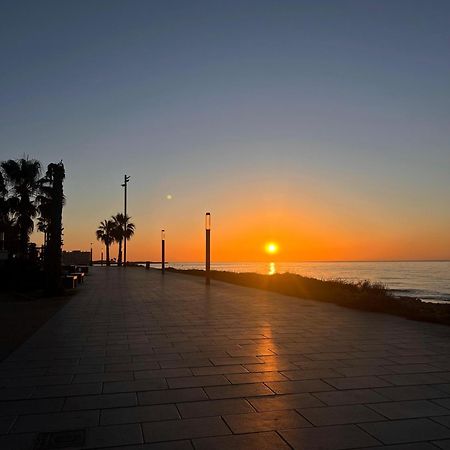 Appartement Torrevieja Alicante Dış mekan fotoğraf