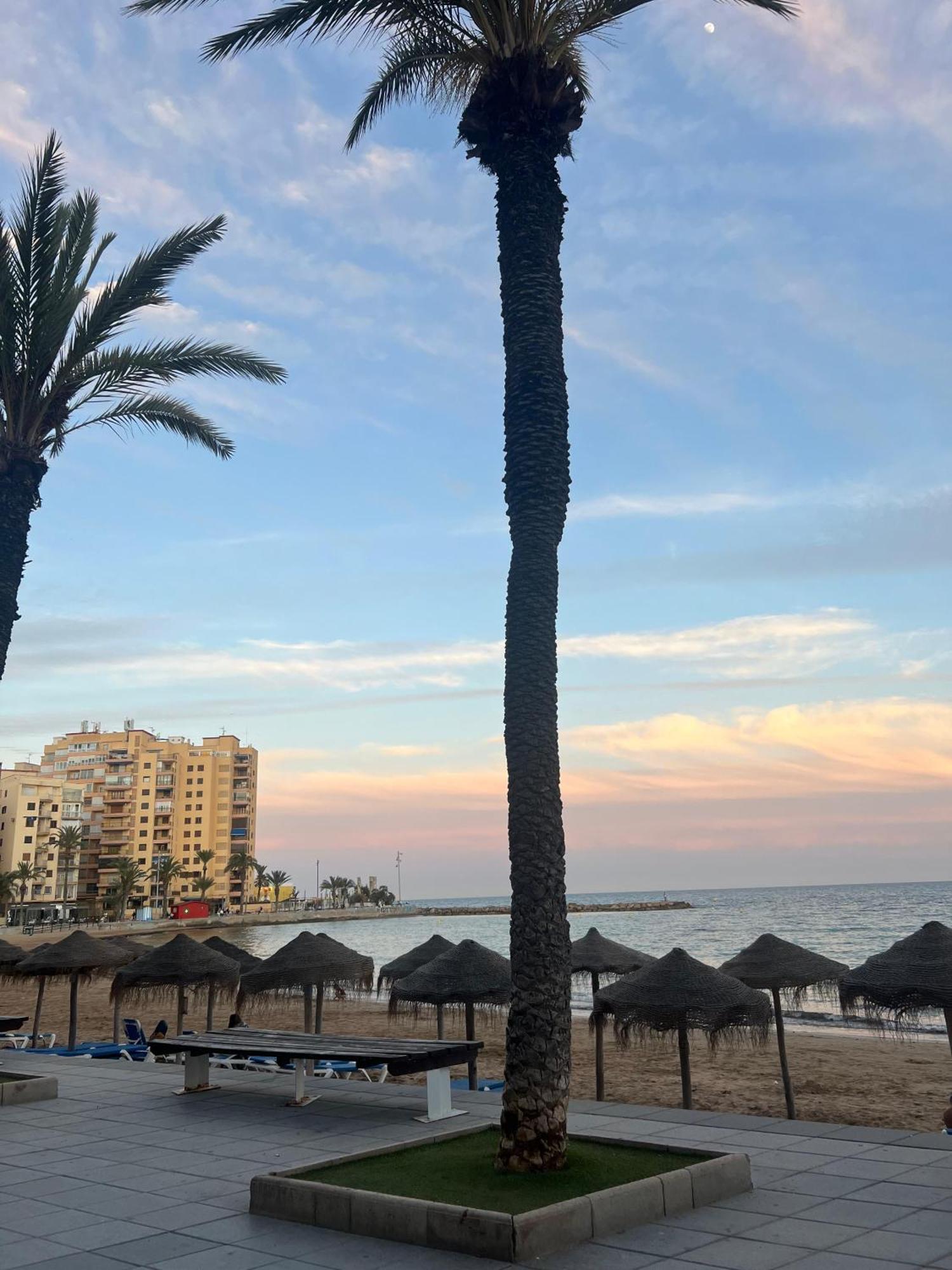 Appartement Torrevieja Alicante Dış mekan fotoğraf